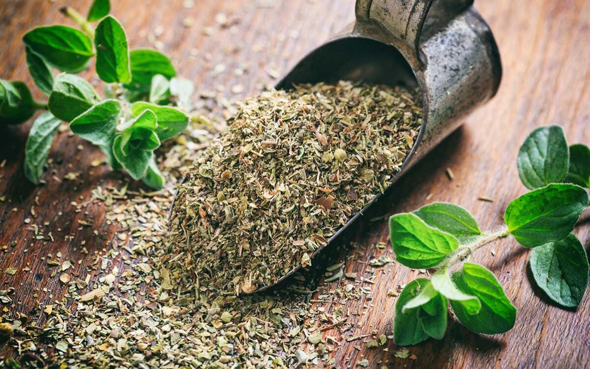 Oregano