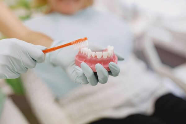 Dentist demonstrând periajul corect pe un model de dinți